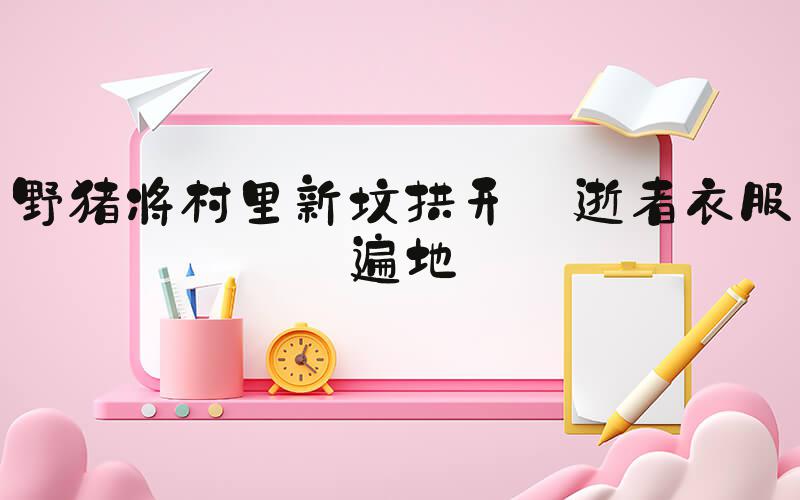 野猪将村里新坟拱开 逝者衣服遍地